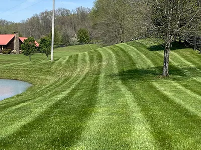 Lawn Care