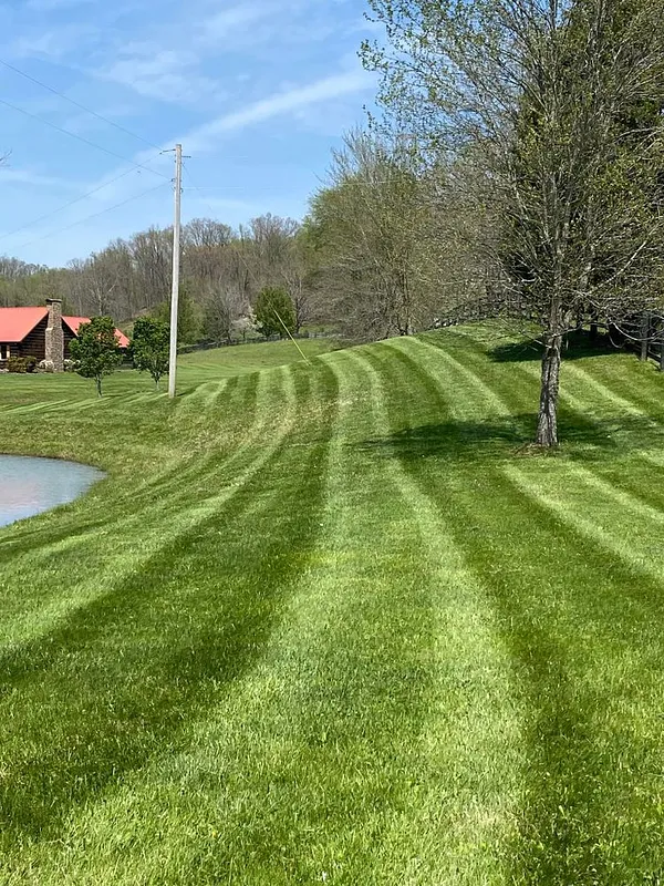 Mowing